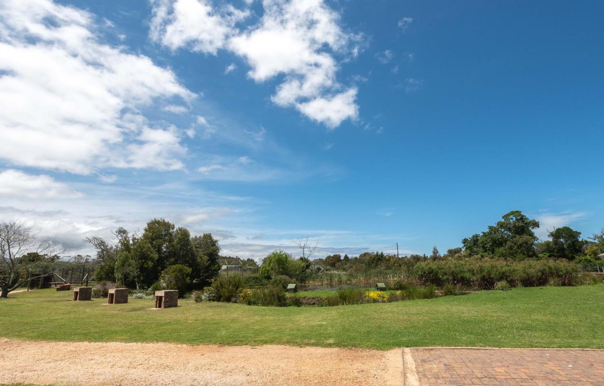 Tenikwa Wildlife Centre & Spa Plettenbergbaai Buitenkant foto