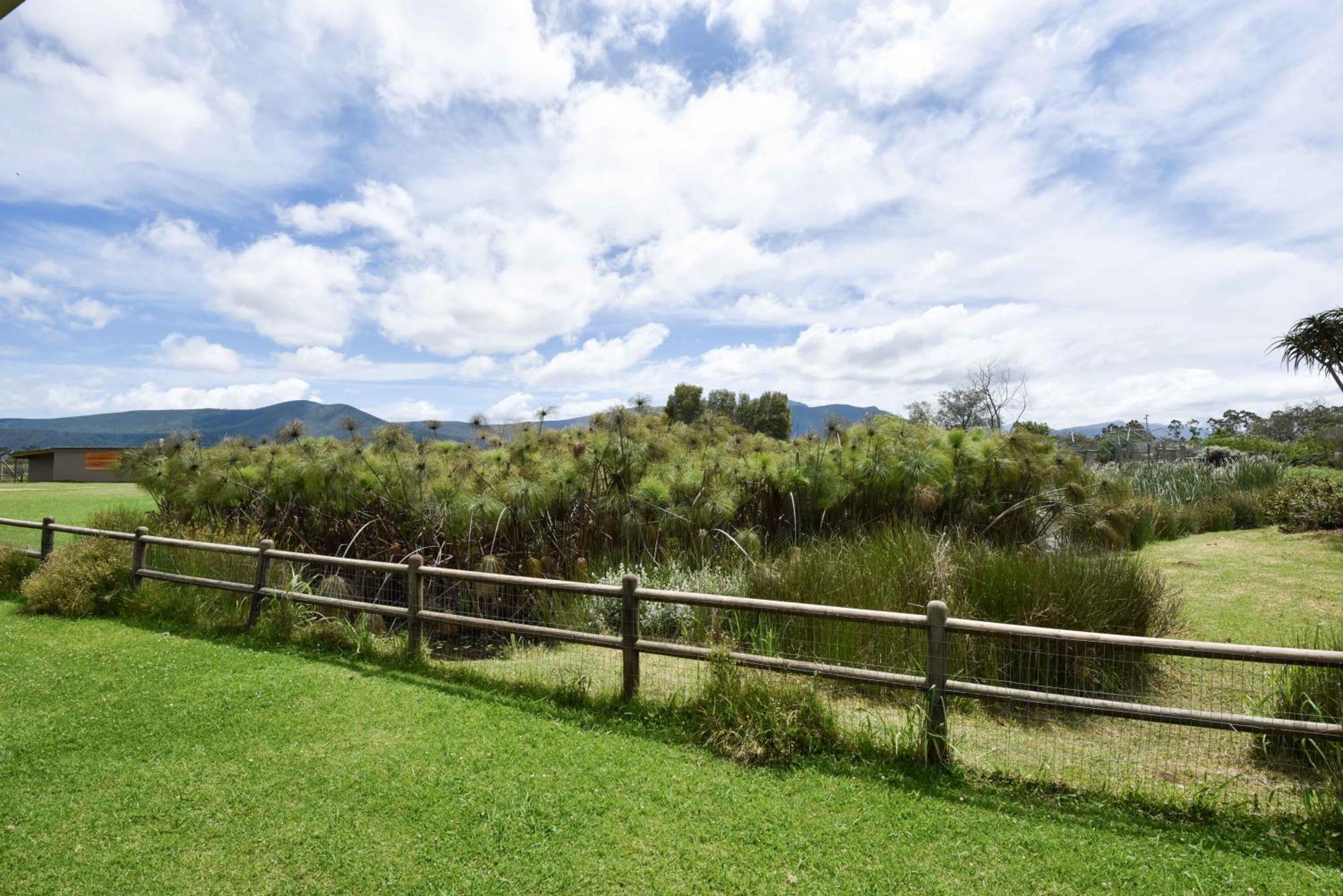 Tenikwa Wildlife Centre & Spa Plettenbergbaai Buitenkant foto