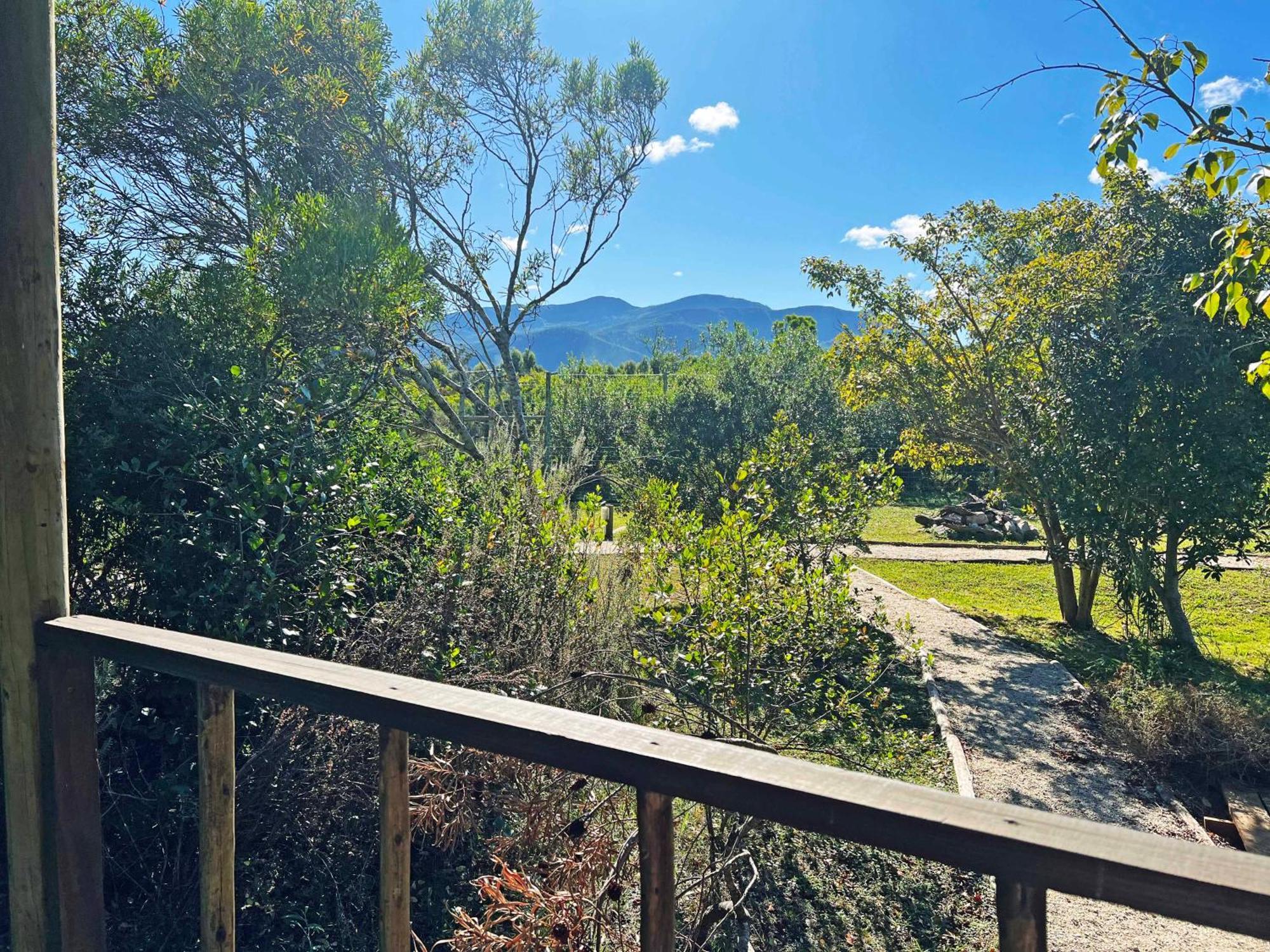 Tenikwa Wildlife Centre & Spa Plettenbergbaai Buitenkant foto